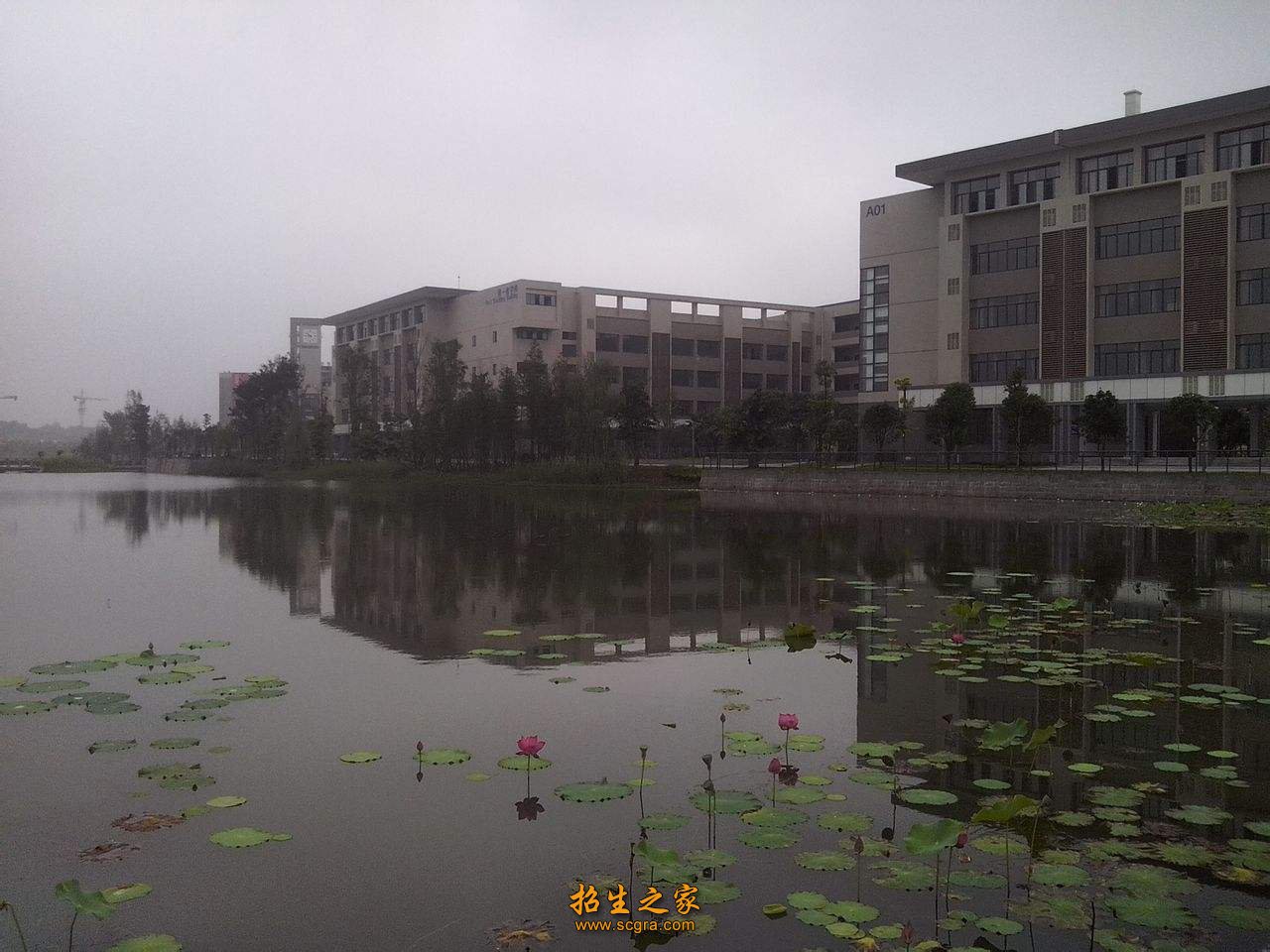 高职阶段的轮机工程技术就业也非常不错