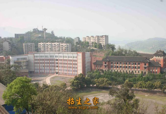 政策研究与信息咨询