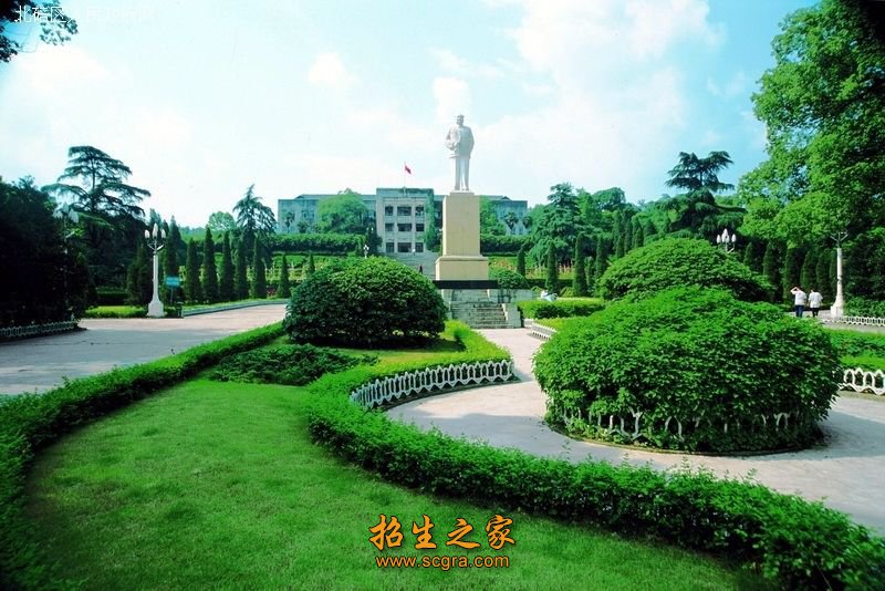 它们侧重各有不同