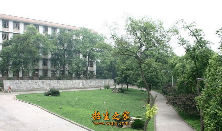 采取积极应对的态势