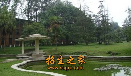 具体以招生名额为准