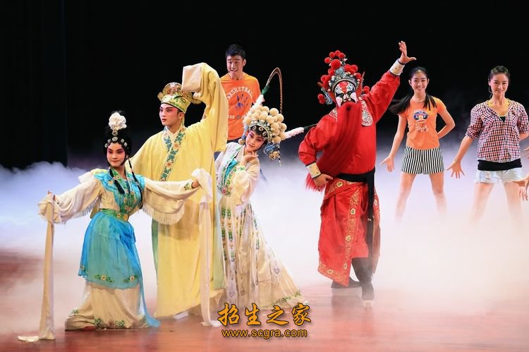 影视文化