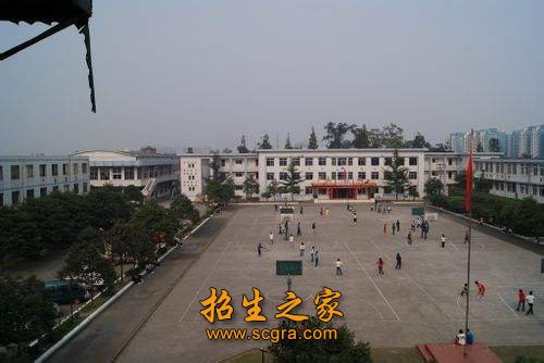 相关阅读