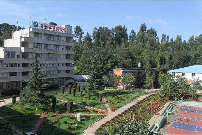 云南省贸易经济澳门永利注册携手德甲联