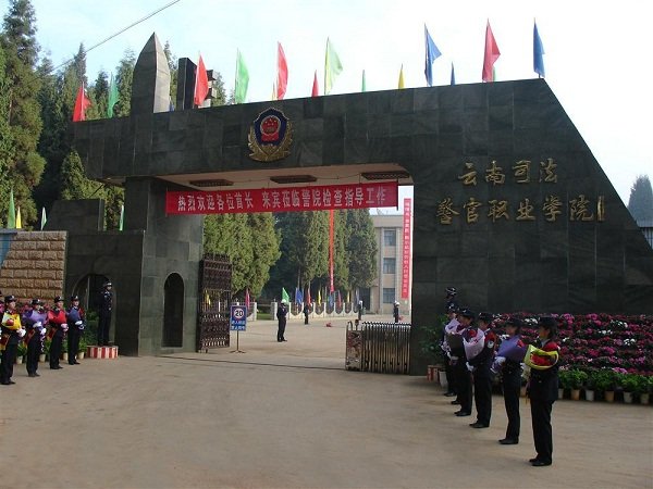 主要专注于普高生