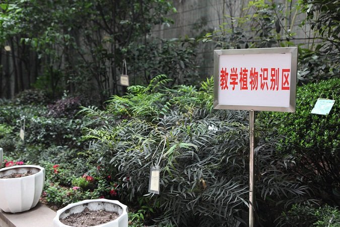 重庆人文艺术职业澳门永利注册首次注册
