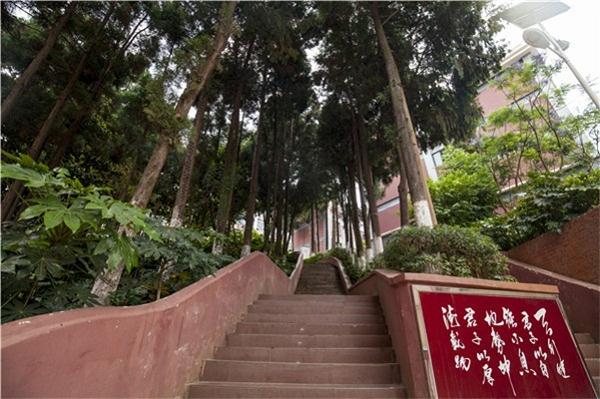 发生了翻天覆地的变化
