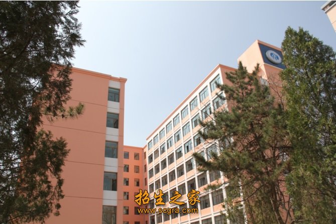 省级技术标兵13人