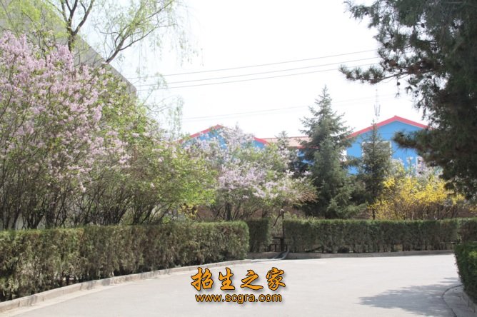 获得甘肃省水利科技进步一等奖2项