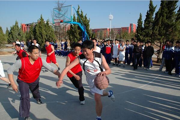 任课教师均为大学本科以上学历