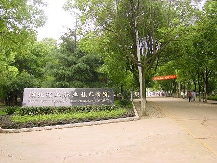 同题参见 序号 二级澳门永利注册手机