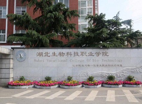 有一批在教学