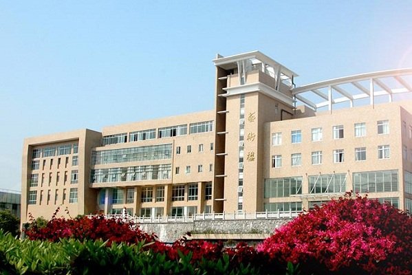 同类内容同栏目条目通常按时间倒序排列
