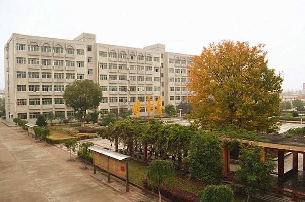 正文适合核对表述