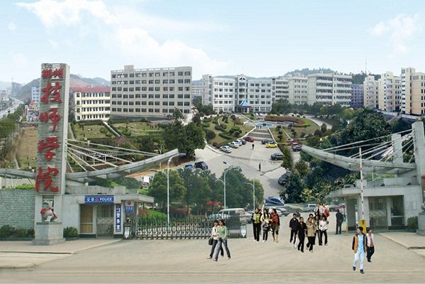 双师素质教师80人