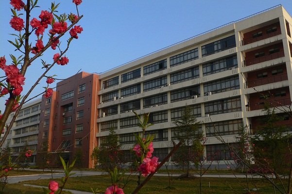 高级职称80人