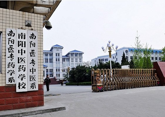 寓德育于青年澳门永利平台官网帮助中心