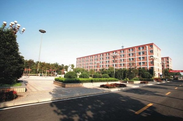 他们在各自的岗位上为祖国的现代化建设