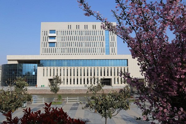 河南信息统计职业澳门永利平台手机版登录