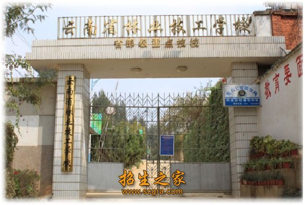 相关阅读
