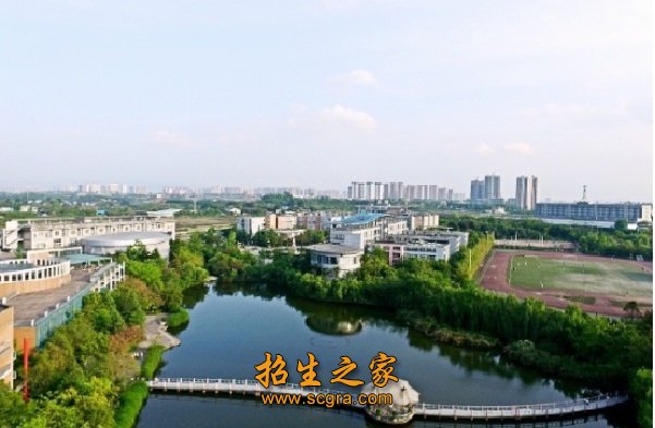 相关阅读