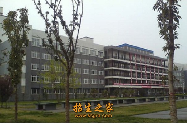 相关阅读