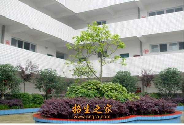相关阅读