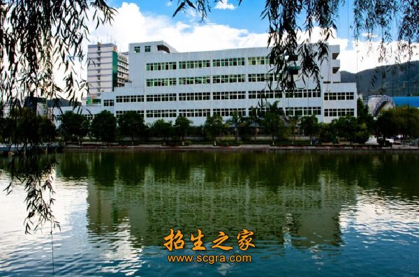 相关阅读