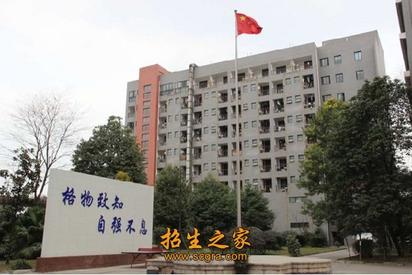 相关阅读