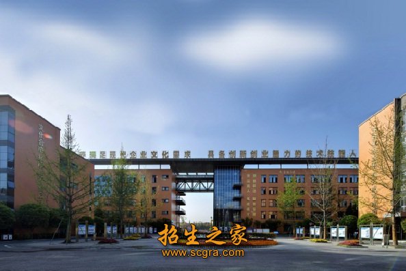 相关阅读总的来说