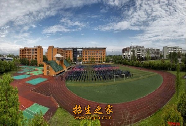 相关阅读