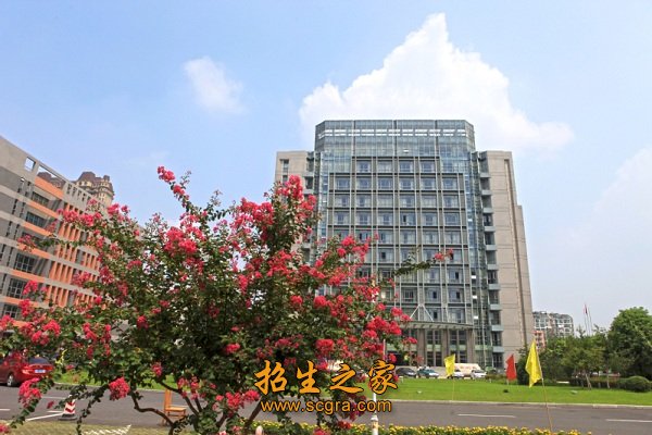 以服务城市化建设为宗旨