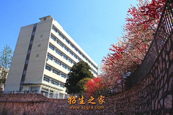 以高质量就业创业为导向