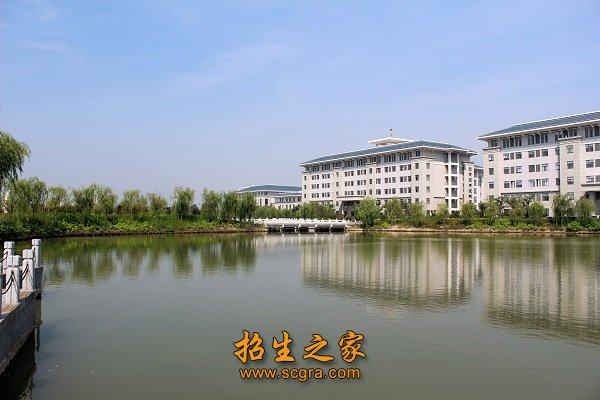 航空票务