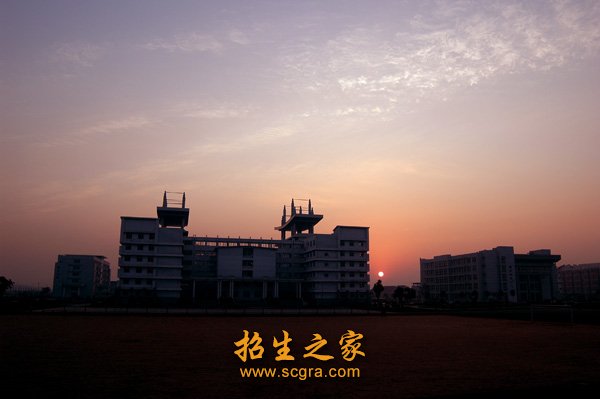 在2011年
