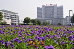 苏州大学电子信息澳门永利平台最新版下