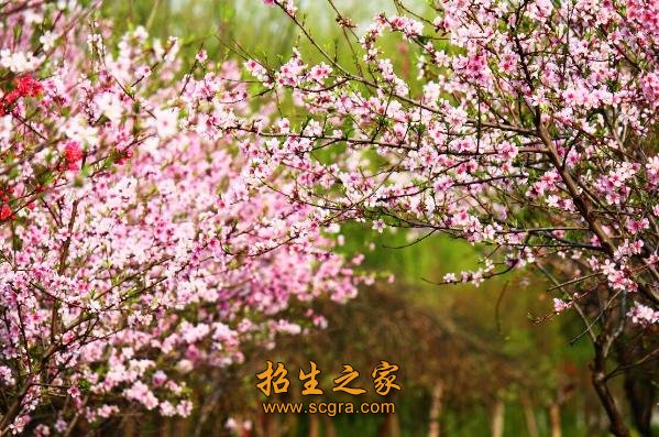 澳门永利平台官网玩法说明成为澳门永利
