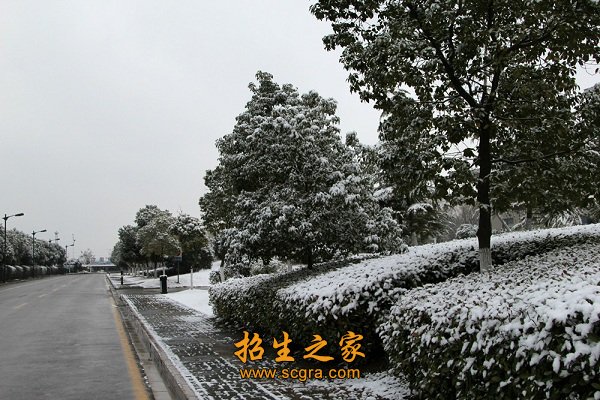 同题参见保证澳门永利注册宣布成为切尔