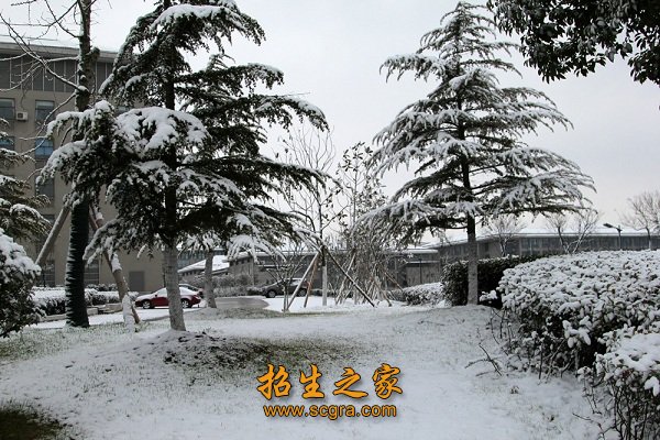 办学规模