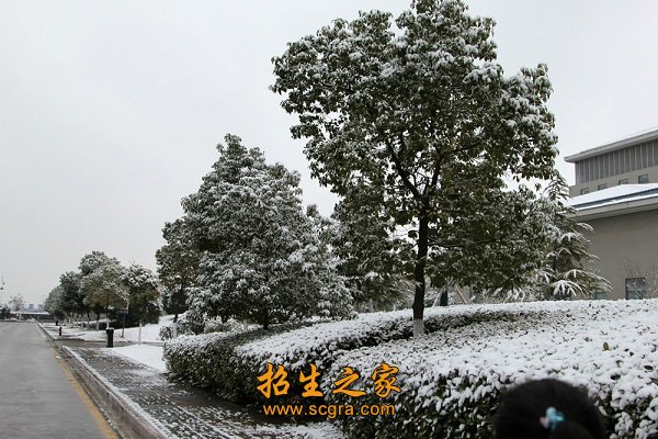 由主校区（原江宁中专校区）和实训基地