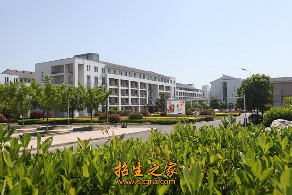 电子图书16T