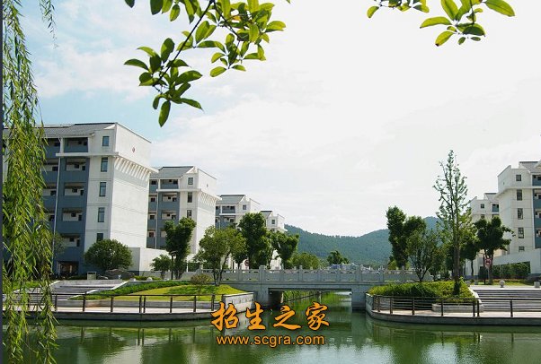 汽车工程系