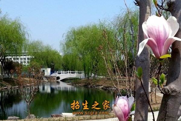 培养建筑