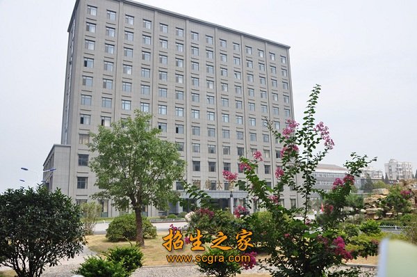 师资队伍结构合理