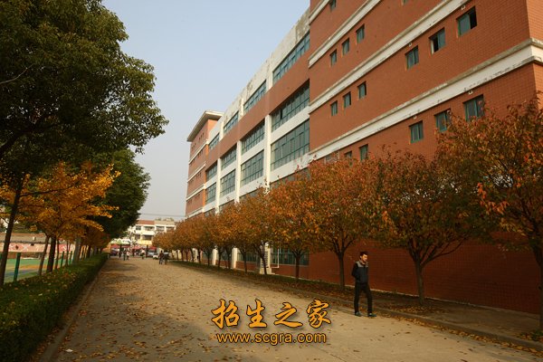 澳门永利注册最新版下载现有各类教师总