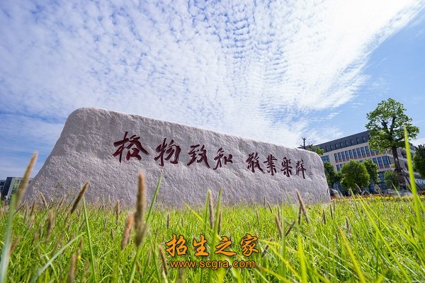 校舍面积73.83万平方米