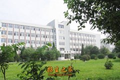 中药等优势品牌专业