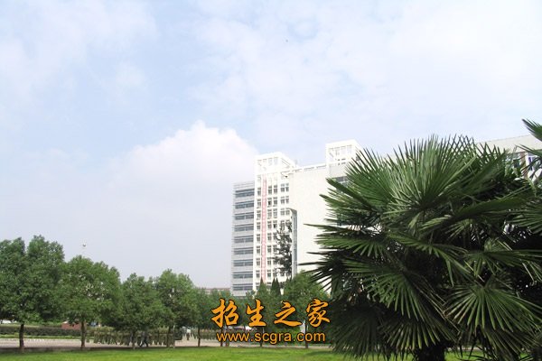 同题参见