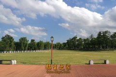 体育方向)