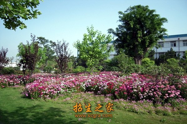 我们也会相信我们会越来越好